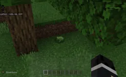 Screenshot Pets Mod for MCPE
