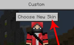 Screenshot Skin Stealer for Minecraft
