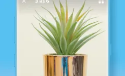 Screenshot Wish – Не переплачивайте