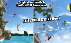 Screenshot Flip Diving
