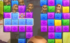 Screenshot Pet Rescue Saga