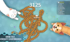 Screenshot Snake.io