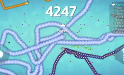 Screenshot Snake.io