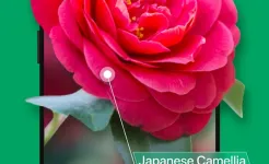 Screenshot PictureThis - Plant Identifier