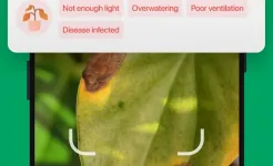Screenshot PictureThis - Plant Identifier