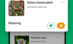 Screenshot PictureThis - Plant Identifier