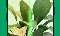 Screenshot PictureThis - Plant Identifier