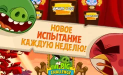 Screenshot Angry Birds Seasons