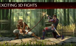 Screenshot Shadow Fight 3