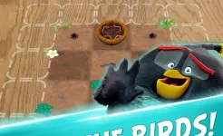Screenshot Angry Birds Explore