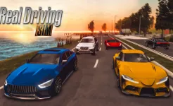 Screenshot Real Driving Sim