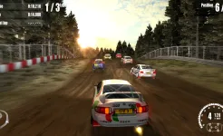 Screenshot Rush Rally 3