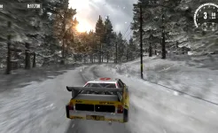 Screenshot Rush Rally 3