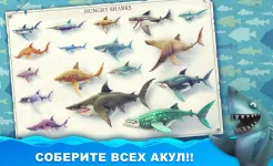 Screenshot Hungry Shark World