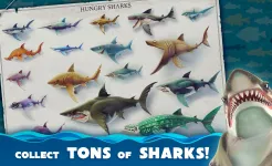 Screenshot Hungry Shark World