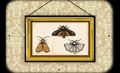 Screenshot Rusty Lake Hotel