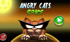 Screenshot Angry Cats Space