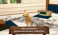 Screenshot Pet Hotel Premium