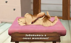 Screenshot Pet Hotel Premium