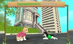 Screenshot Симулятор Кошки Онлайн
