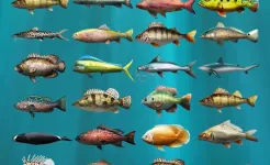 Screenshot Let's Fish: Симулятор рыбалки
