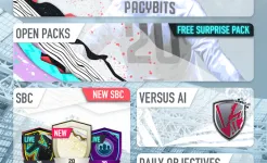 Screenshot PACYBITS FUT 20