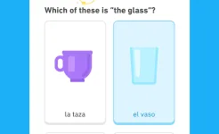 Screenshot Duolingo Premium
