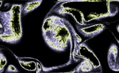Screenshot Magic Fluids
