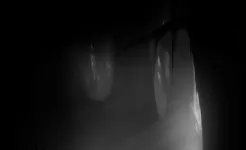 Screenshot LIMBO