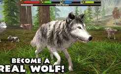Screenshot Ultimate Wolf Simulator