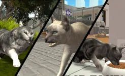 Screenshot Ultimate Cat Simulator