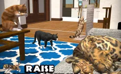 Screenshot Ultimate Cat Simulator