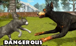 Screenshot Ultimate Cat Simulator