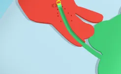 Screenshot Paper.io 3D