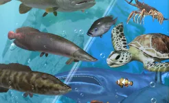Screenshot Fishing Season :River To Ocean