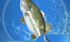 Screenshot Fishing Season :River To Ocean