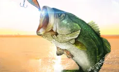 Screenshot Fishing Season :River To Ocean