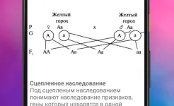 Screenshot ЕГЭ Биология