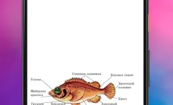 Screenshot ЕГЭ Биология