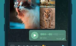 Screenshot Telegram