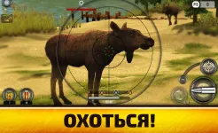 Screenshot Wild Hunt:Sport Hunting Games. Спортивная Охота 3D