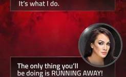 Screenshot WWE Universe