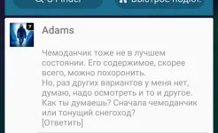 Screenshot Lifeline. Белая мгла