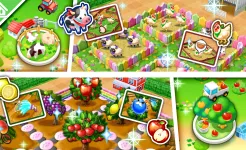 Screenshot Cooking Mama: Let's cook!