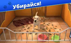 Screenshot Pet World - приют для животных