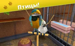 Screenshot Pet World - приют для животных