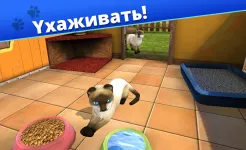 Screenshot Pet World - приют для животных