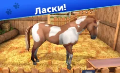 Screenshot Pet World - приют для животных