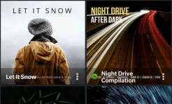 Screenshot PlayerPro Music Player Pro