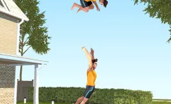 Screenshot Flip Master
